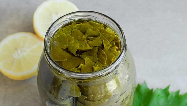 نکات و فوت‌وفن های طرز تهیه ترشی برگ مو