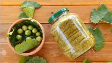 طرز تهیه ترشی برگ مو+ نکات کپک نزدن