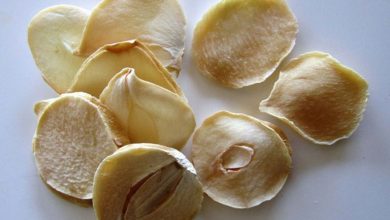 کالری موسیر چقدر است؟