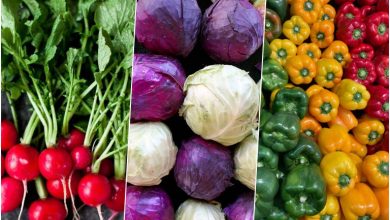 آموزش پرورش 13 سبزیجات پر مصرف در منزل