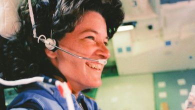 بهترین فیلم‌های بیوگرافی 2025