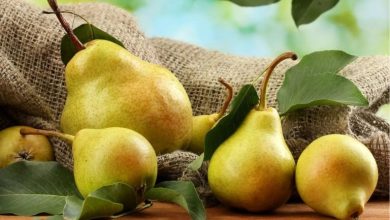 کالری گلابی چقدر است؟