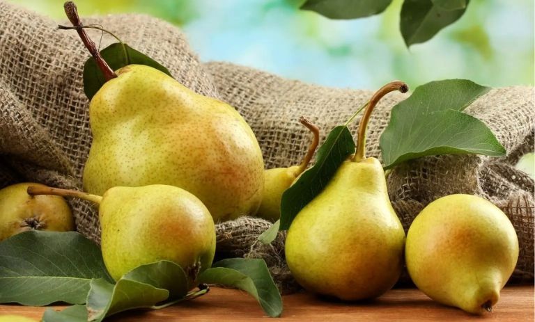 کالری گلابی چقدر است؟