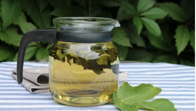 طرز تهیه دمنوش برگ انجیر+ بهترین زمان مصرف