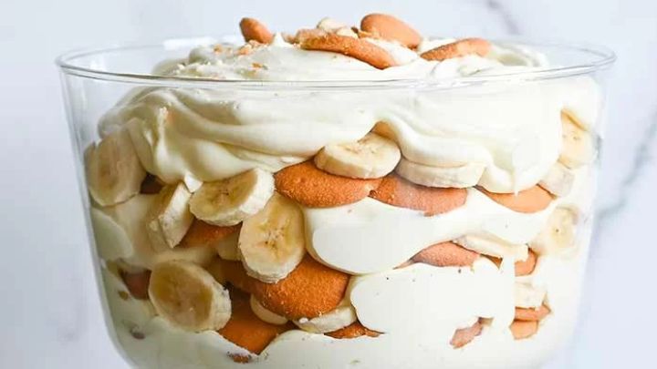 نکات و فوت‌وفن‌ های طرز تهیه دسر مگنولیا لیمویی با لیمو تازه
