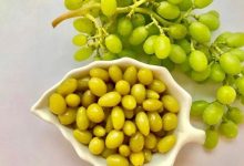 طرز تهیه ترشی غوره خانگی+ نکات کپک نزدن