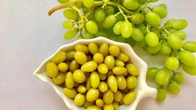 طرز تهیه ترشی غوره خانگی+ نکات کپک نزدن
