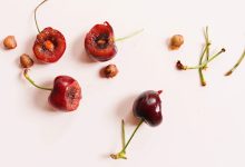 خواص هسته گیلاس؛ Properties of cherry pits