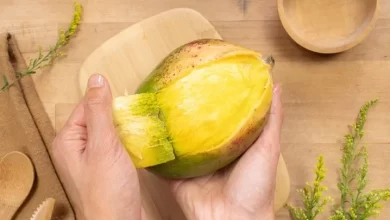 Properties of mango skin؛ خواص پوست انبه