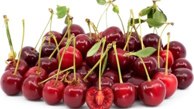Properties of sour Cherries seeds؛ خواص هسته آلبالو