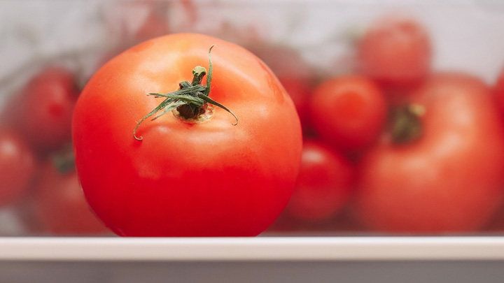 ترفند برای نگهداری گوجهی تازه ترفند برای نگهداری گوجهی تازه