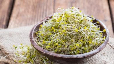 10 خاصیت شگفتانگیز جوانه کلم بروکلی و طریقه مصرف آن