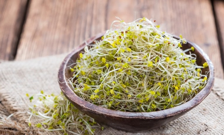 10 خاصیت شگفتانگیز جوانه کلم بروکلی و طریقه مصرف آن