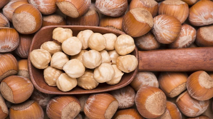 آجیل و خشکبار (پسته، بادام، کشمش، خرما) از مواد غذایی با ماندگاری بالا