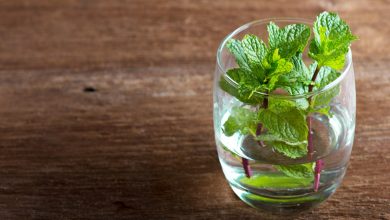 روش کاشت نعناع در آب؛ روشی جذاب برای پرورش نعناع در خانه