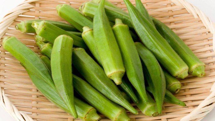 آموزش کاشت بامیه در گلدان