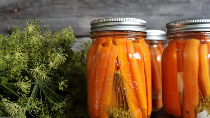 نکات و فوتوفن های کنسرو کردن هویج نکات و فوتوفن های کنسرو کردن هویج