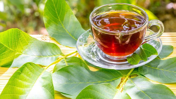 نکات و فوتوفن های طرز تهیه دمنوش برگ گردو نکات و فوتوفن های طرز تهیه دمنوش برگ گردو