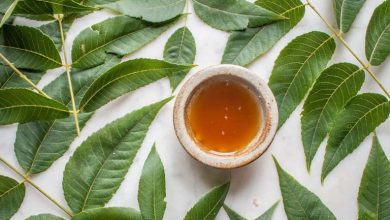 طرز تهیه دمنوش برگ گردو + بهترین زمان مصرف