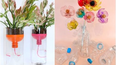  11 ایده خلاقانه برای استفاده مجدد از بطری‌های پلاستیکی در خانه