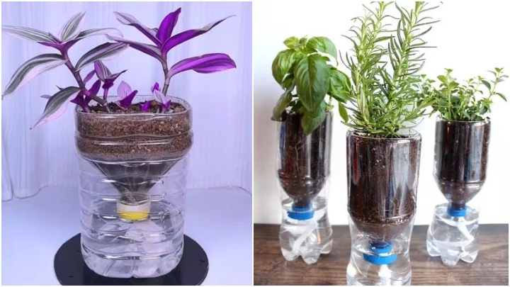 استفاده مجدد از بطریهای پلاستیکی در باغچه و کشاورزی خانگی استفاده مجدد از بطریهای پلاستیکی در باغچه و کشاورزی خانگی