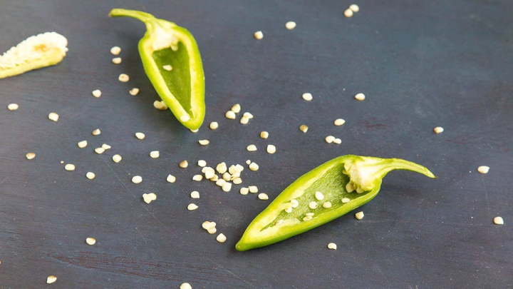 جداسازی دانههای فلفل شیرین جداسازی دانههای فلفل شیرین