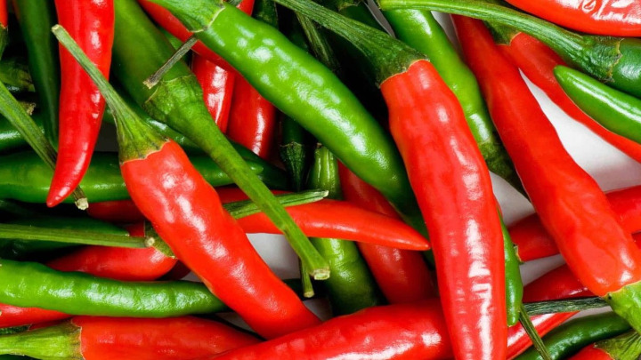 نگهداری از گیاه فلفل شیرین نگهداری از گیاه فلفل شیرین