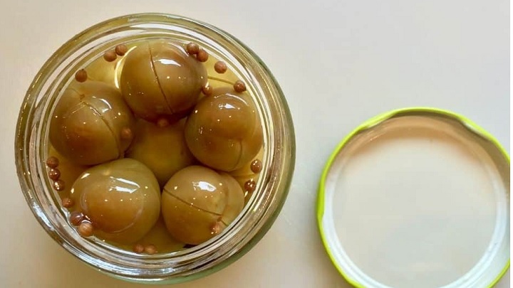 نکات و فوت‌وفن های طرز تهیه ترشی آلو به روش بازاری