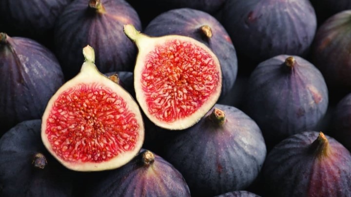 کمک به سلامت قلب؛ خواص و کاربردهای شگفت‌انگیز دانه انجیر