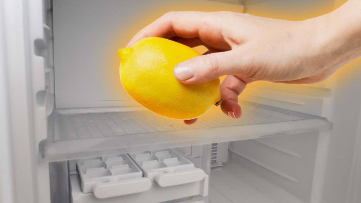 از بین بردن بوی بد یخچال از کاربردهای آبلیمو در خانه داری از بین بردن بوی بد یخچال از کاربردهای آبلیمو در خانه داری