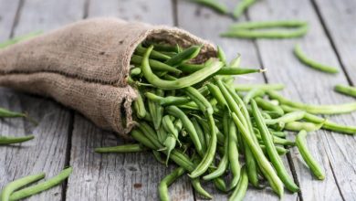 کالری لوبیا سبز چقدر است؟