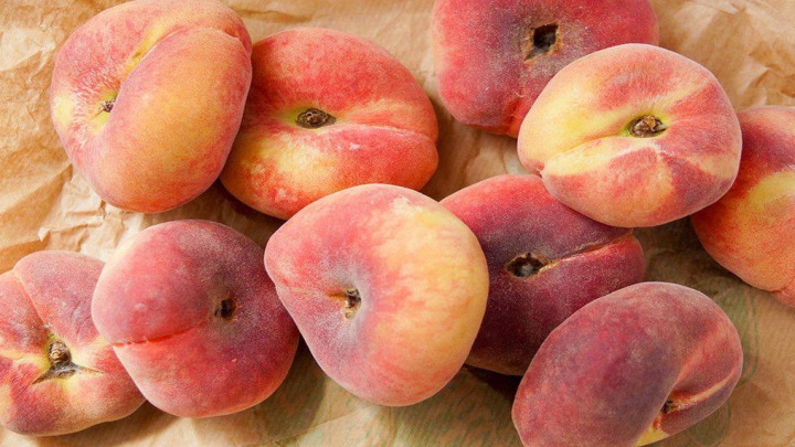 بهترین زمان کاشت هلو انجیری بهترین زمان کاشت هلو انجیری