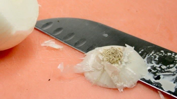 با آموزش کاشت پیاز در بطری آب آشنا شوید با آموزش کاشت پیاز در بطری آب آشنا شوید