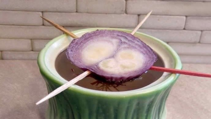 آموزش کاشت پیاز در بطری آب آموزش کاشت پیاز در بطری آب