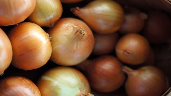 نکات نگهداری و رشد بهتر پیاز در بطری آب نکات نگهداری و رشد بهتر پیاز در بطری آب