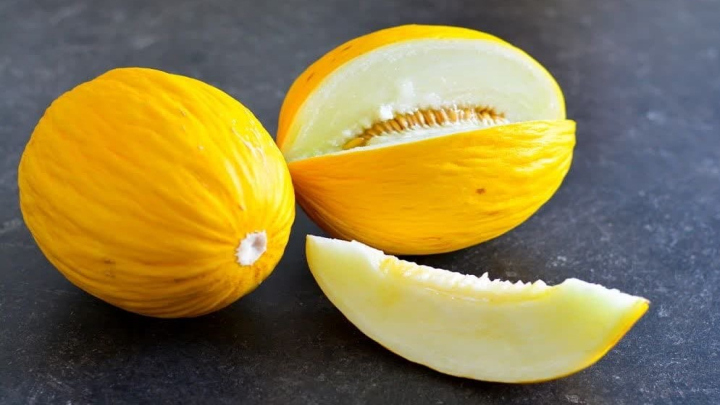 با روش اصولی کاشت خربزه در گلدان آشنا شوید