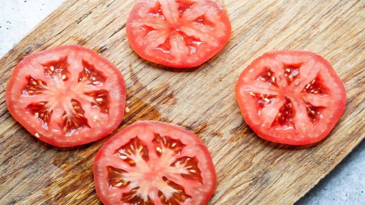 روش کاشت گوجه فرنگی در شانه تخم مرغ روش کاشت گوجه فرنگی در شانه تخم مرغ