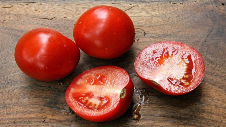 روش نگهداری و کاشت گوجه فرنگی در شانه تخم مرغ روش نگهداری و کاشت گوجه فرنگی در شانه تخم مرغ