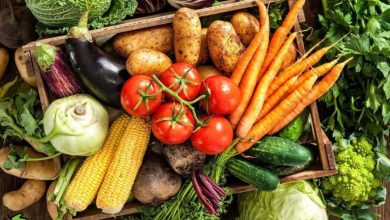 سبزی‌هایی که باید در تابستان کاشت