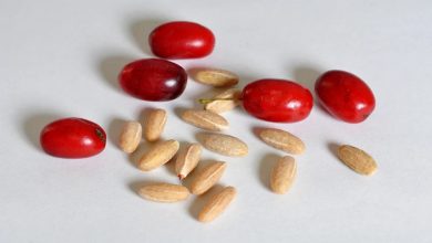 روشهای سریع و آسان برای جدا کردن هسته زغالاخته؛ Cornelian cherry cores