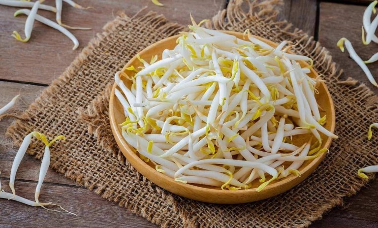 ترفند فریز کردن انواع جوانهها برای استفاده در تمام فصول سال