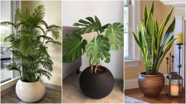 گلدان مینیمال برای منزل