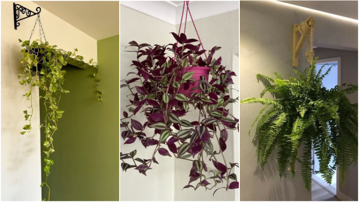 آویز گلدان برای دکور منزل آویز گلدان برای دکور منزل