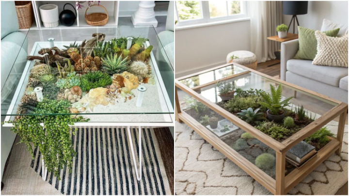 تراریومها و گلدانهای شیشهای برای تزئین خانه با گیاهان تراریومها و گلدانهای شیشهای برای تزئین خانه با گیاهان
