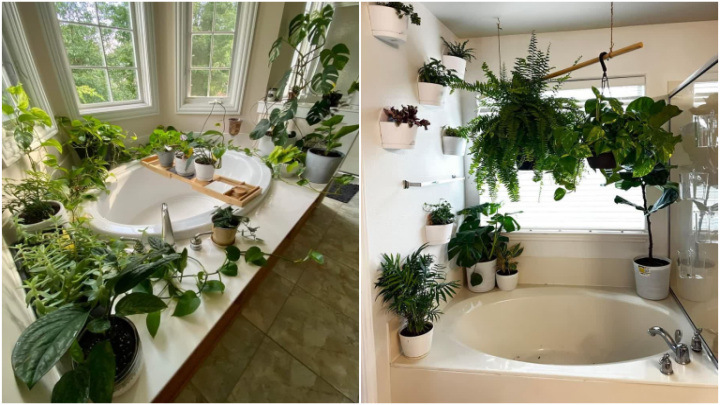 گل و گیاه کنار وان گل و گیاه کنار وان