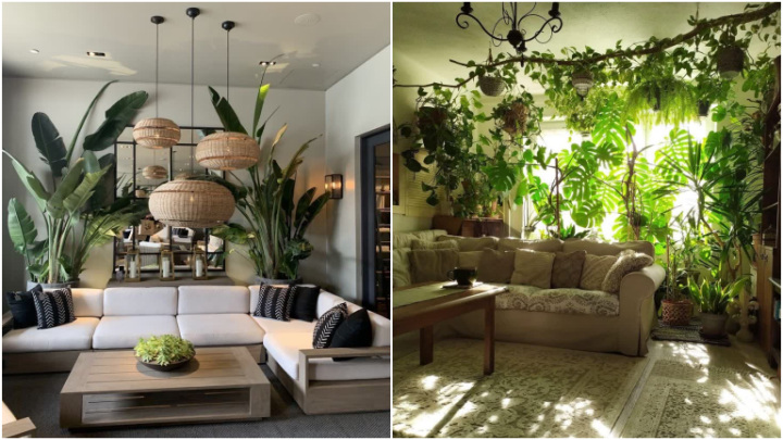 مکان انحصاری و مشخص برای گلدان در منزل مکان انحصاری و مشخص برای گلدان در منزل