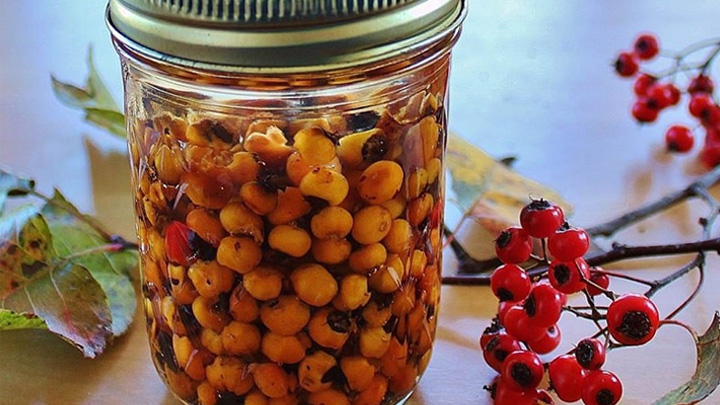 نکات مهم برای کپک نزدن ترشی نکات مهم برای کپک نزدن ترشی