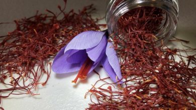 روشهای کاربردی تشخیص زعفران اصل؛ 10 نکته مهم که باید بدانید