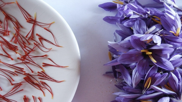 آشنایی بیشتر با زعفران تقلبی