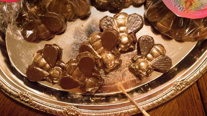 زنبورکهای گازدار زنبورکهای گازدار